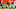 Garett Bolles, Denver Broncos Garett Bolles, Denver Broncos
