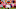 T.J. Ward Chris Harris Jr T.J. Ward Chris Harris Jr