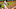 Minnesota Twins Minnesota Twins