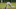 Minnesota Twins Minnesota Twins