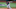 Minnesota Twins Minnesota Twins