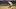 Minnesota Twins Minnesota Twins