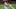 SAN DIEGO, CA – SEPTEMBER 21: Mark Reynolds SAN DIEGO, CA – SEPTEMBER 21: Mark Reynolds