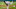 Minnesota Twins Minnesota Twins