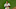 Minnesota Twins Minnesota Twins