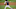 Minnesota Twins Minnesota Twins