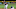 Minnesota Twins Minnesota Twins