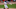 Minnesota Twins Minnesota Twins