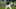 Minnesota Twins Minnesota Twins