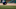 MLB: Minnesota Twins at Detroit Tigers MLB: Minnesota Twins at Detroit Tigers