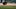MLB: Minnesota Twins at Detroit Tigers MLB: Minnesota Twins at Detroit Tigers