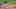 MLB: Minnesota Twins at Kansas City Royals MLB: Minnesota Twins at Kansas City Royals