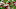 GLENDALE, ARIZONA – SEPTEMBER 20: Chris Streveler #15 of the Arizona Cardinals gets ready to take the snap from under center against the Washington Football Team at State Farm Stadium on September 20, 2020 in Glendale, Arizona. (Photo by Norm Hall/Getty Images) GLENDALE, ARIZONA – SEPTEMBER 20: Chris Streveler #15 of the Arizona Cardinals gets ready to take the snap from under center against the Washington Football Team at State Farm Stadium on September 20, 2020 in Glendale, Arizona. (Photo by Norm Hall/Getty Images)