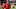 Arizona Cardinals Arizona Cardinals