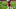 Arizona Cardinals Arizona Cardinals