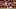 Arizona Cardinals Arizona Cardinals