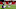 Arizona Cardinals Arizona Cardinals