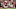 Arizona Cardinals Arizona Cardinals