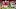 Arizona Cardinals Arizona Cardinals