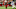 Arizona Cardinals Arizona Cardinals