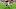 Arizona Cardinals Arizona Cardinals