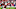 Arizona Cardinals Arizona Cardinals