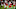 Arizona Cardinals Arizona Cardinals