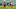 Arizona Cardinals Arizona Cardinals