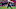 Arizona Cardinals Arizona Cardinals