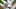 LA Rams John Johnson LA Rams John Johnson
