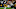 LA Rams News LA Rams News