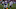 LA Rams Xavier Jones LA Rams Xavier Jones