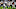 LA Rams Blake Bortles Cam Newton John Wolford LA Rams Blake Bortles Cam Newton John Wolford