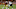 LA Rams 2020 NFL Draft LA Rams 2020 NFL Draft