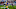 LA Rams Jared Goff LA Rams Jared Goff