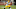 LA Rams Kyler Fackrell LA Rams Kyler Fackrell