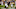 LA Rams Thomas Brown LA Rams Thomas Brown