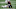 LA Rams News Sony Michel LA Rams News Sony Michel