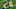 LA Rams Roster Darrell Henderson Jr. LA Rams Roster Darrell Henderson Jr.