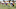 LA Rams News Rams Roster LA Rams News Rams Roster