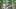 LA Rams News Rams Draft LA Rams News Rams Draft