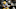 LA Rams News Rams Free Agency LA Rams News Rams Free Agency