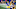 LA Rams game day LA Rams game day