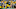 LA Rams roster Jayron Elliott LA Rams roster Jayron Elliott