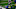 LA Rams Darious Williams LA Rams Darious Williams