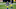 LA Rams Aaron Donald LA Rams Aaron Donald