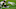 LA Rams News Troy Reeder LA Rams News Troy Reeder