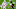 LA Rams offensive line 2021 NFL Draft LA Rams offensive line 2021 NFL Draft