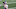 LA Rams roster John Wolford LA Rams roster John Wolford
