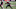 LA Rams Free Agency Korey Cunningham LA Rams Free Agency Korey Cunningham